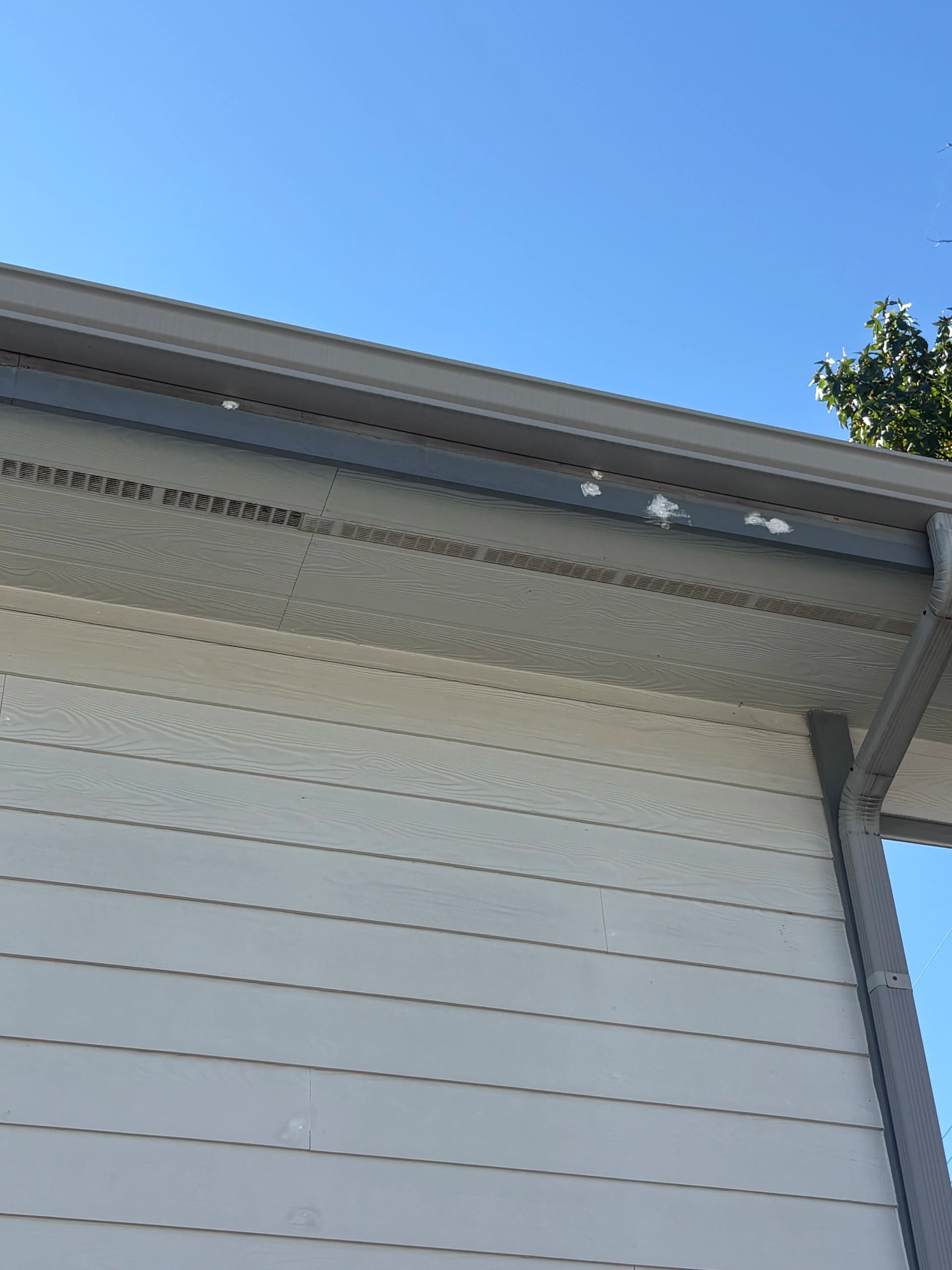 Gallery photos for Why Prep Work Is the Real Secret to a Lasting Exterior Paint Job: Image #4