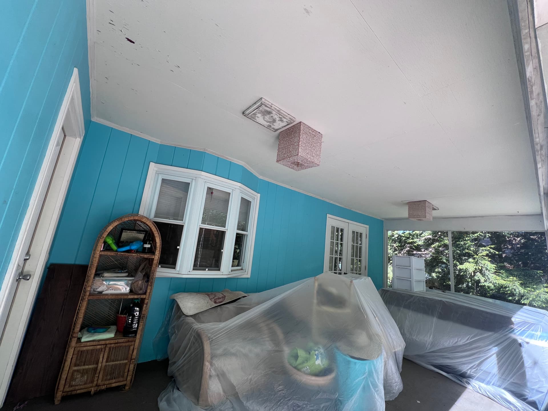 Screen Porch Painting Done Right - Mold Treated and Built to Last image