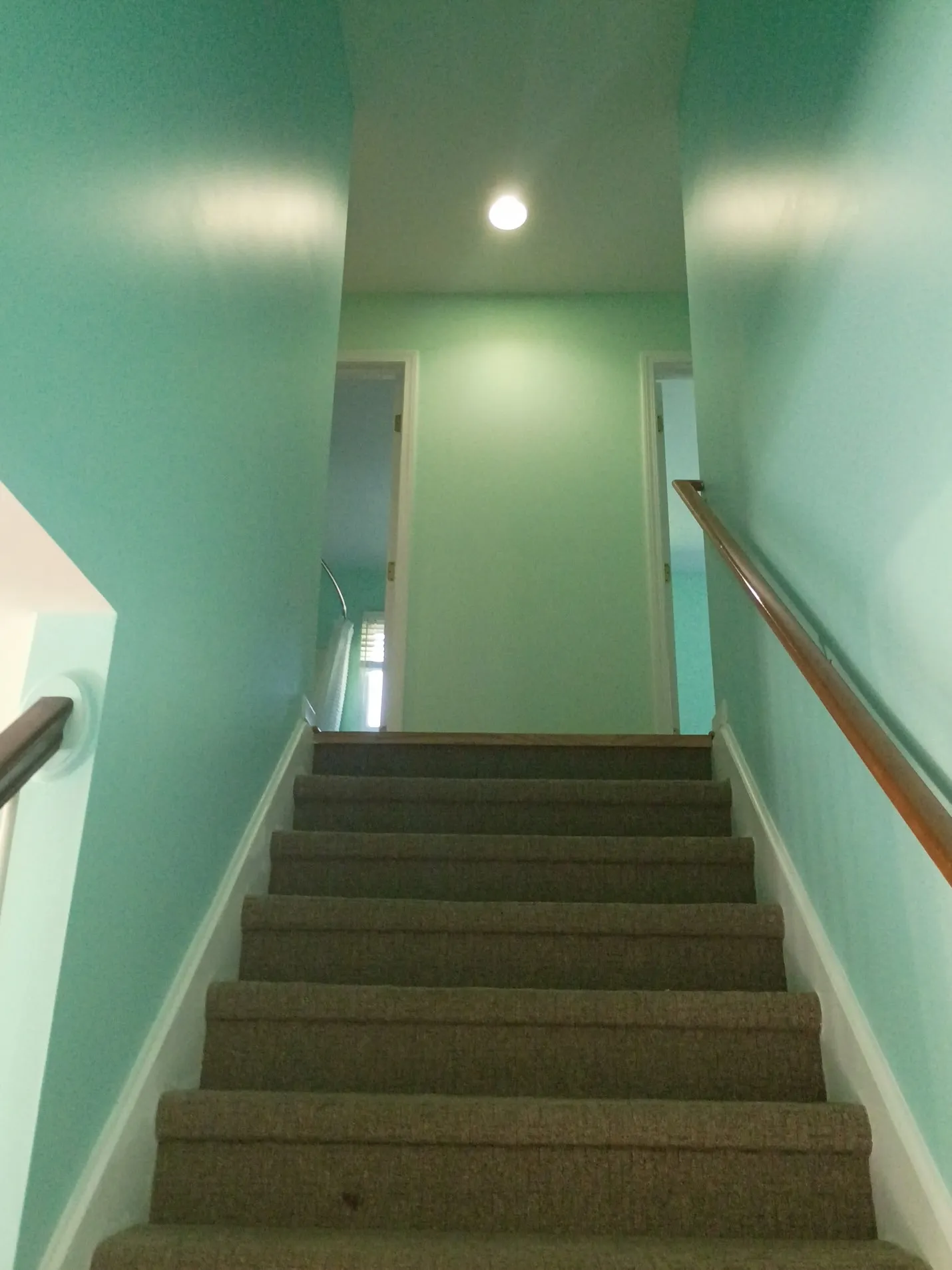 Gallery photos for Full Home Interior Repaint That Actually Changes Everything: Image #2