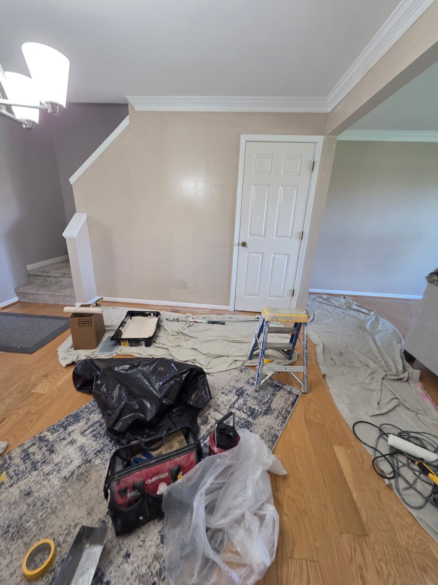 Gallery photos for Fresh Paint and Clean Finishes Across Multiple Rooms: Image #3
